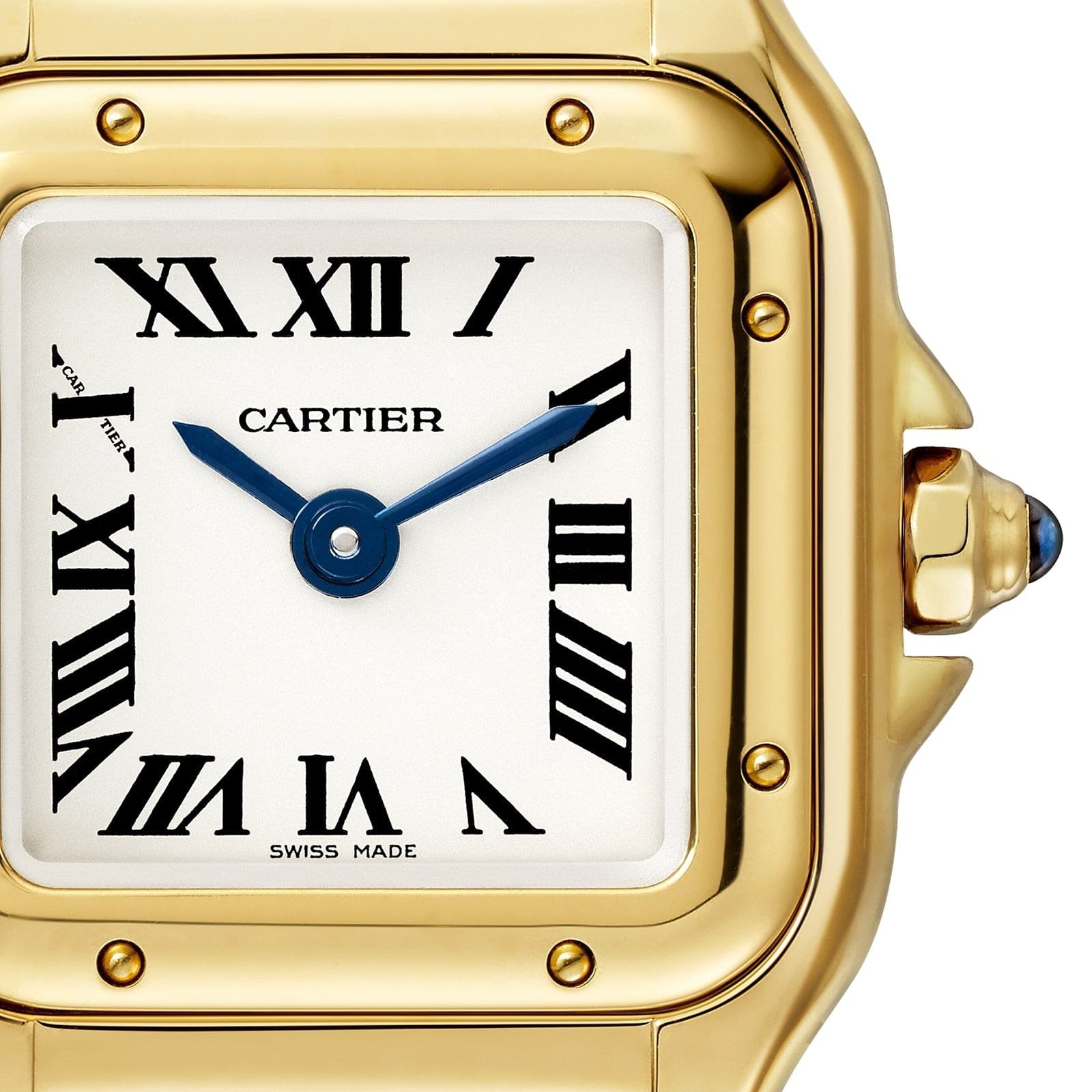 Panthère de Ca*t1er