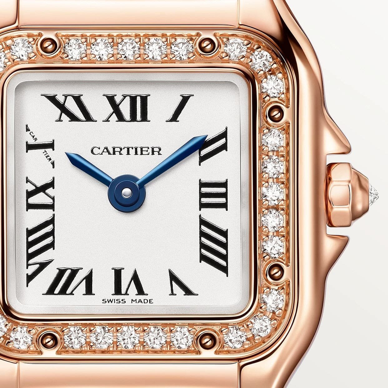 Panthère De Ca*t1er Watch