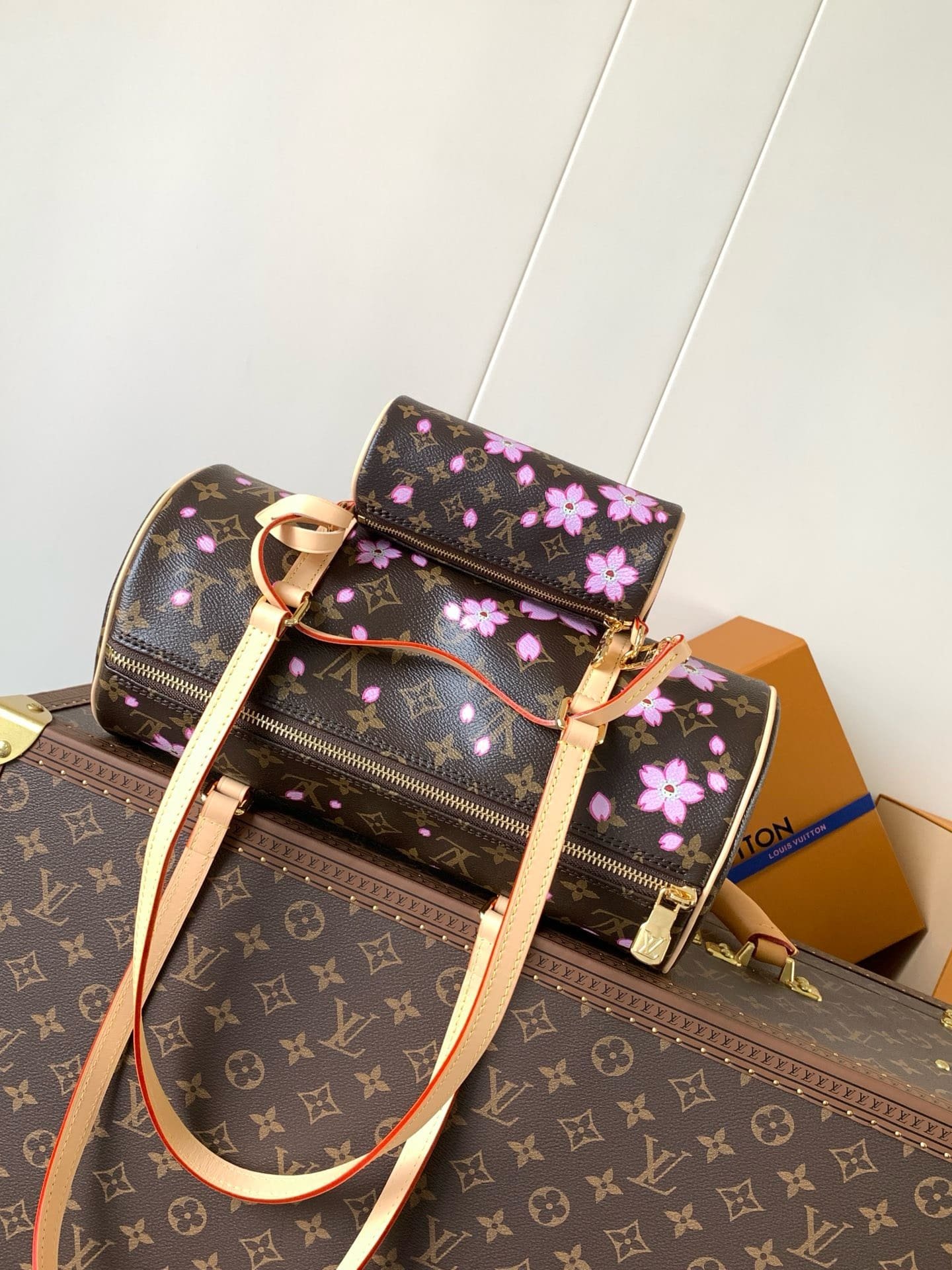 L0vis Vvtt0n M13097 LV x TM Papillon