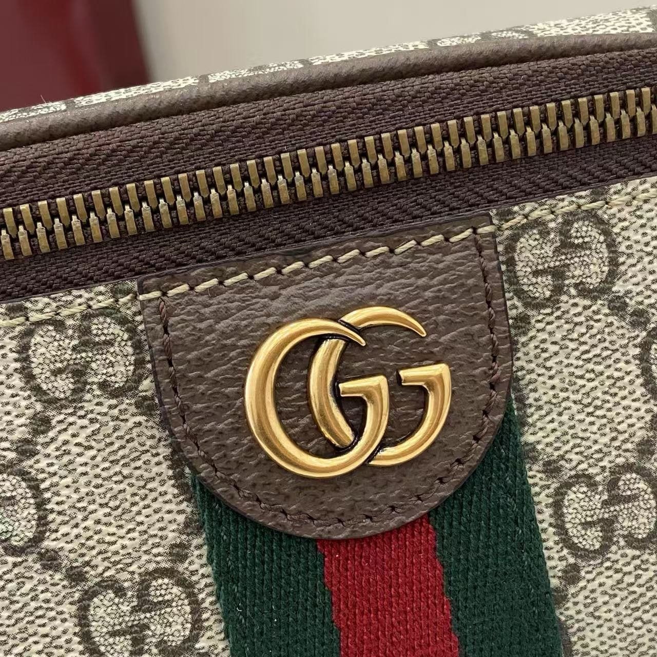 Gvc*1 Ophidia small belt bag
