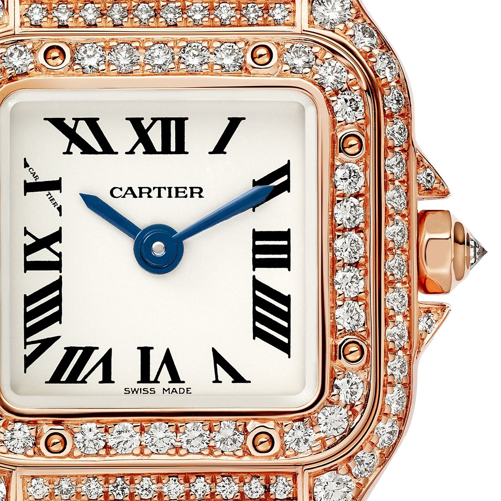 Panthère de Ca*t1er