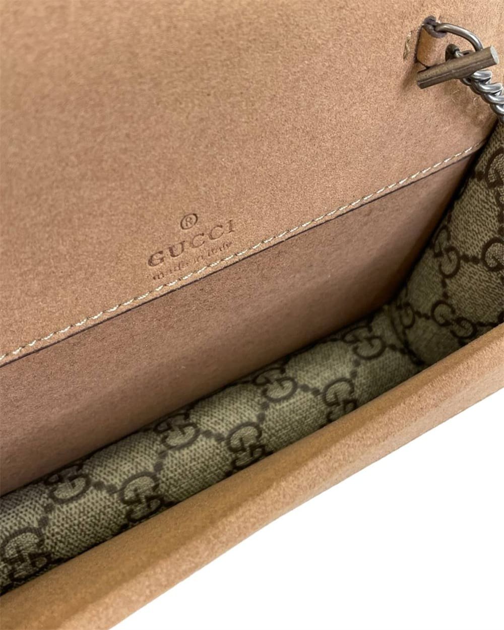 Dionysus Gvc*1 Mini Bag
