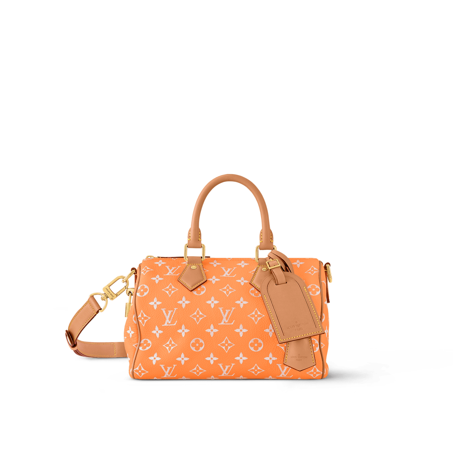L0vis Vvtt0n M13912 SPEEDY P9 BANDOULIÈRE 25 BAG